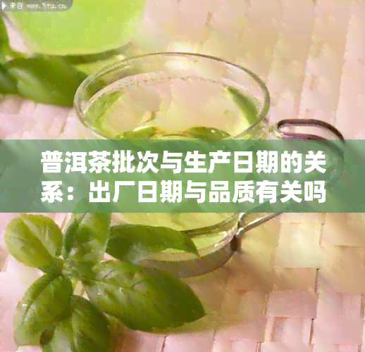 普洱茶批次与生产日期的关系：出厂日期与品质有关吗？