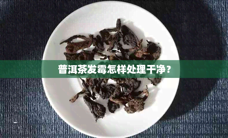 普洱茶发霉怎样处理干净？