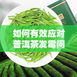 如何有效应对普洱茶发霉问题，保留其品质与口感