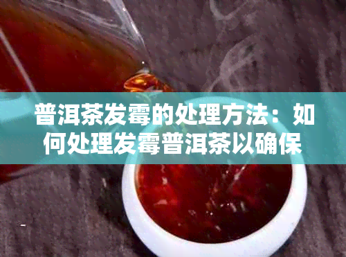 普洱茶发霉的处理方法：如何处理发霉普洱茶以确保安全饮用