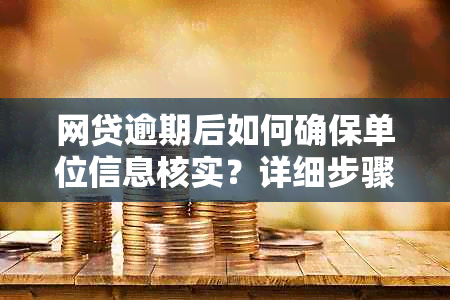 网贷逾期后如何确保单位信息核实？详细步骤与注意事项