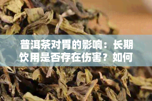 普洱茶对胃的影响：长期饮用是否存在伤害？如何正确饮用以保护胃健？