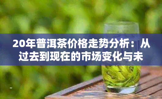 20年普洱茶价格走势分析：从过去到现在的市场变化与未来预测