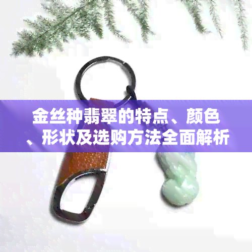 金丝种翡翠的特点、颜色、形状及选购方法全面解析