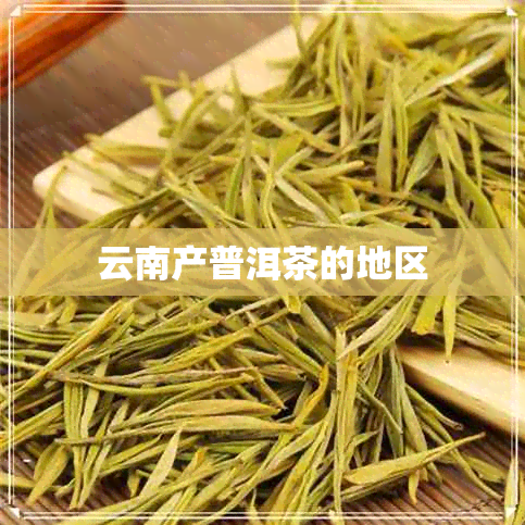 云南产普洱茶的地区