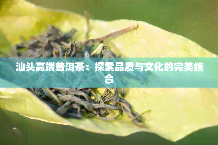 汕头高端普洱茶：探索品质与文化的完美结合