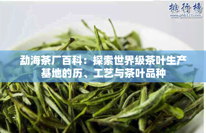 勐海茶厂百科：探索世界级茶叶生产基地的历、工艺与茶叶品种