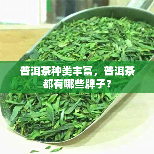 普洱茶种类丰富，普洱茶都有哪些牌子？