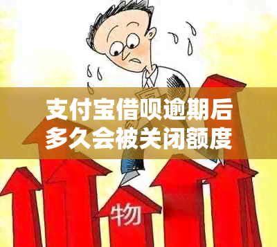 支付宝借呗逾期后多久会被关闭额度？