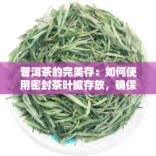 普洱茶的完美存：如何使用密封茶叶罐存放，确保茶叶保持状态