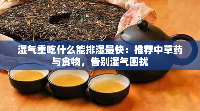 湿气重吃什么能排湿最快：推荐中草与食物，告别湿气困扰