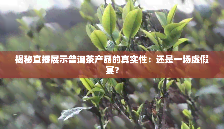 揭秘直播展示普洱茶产品的真实性：还是一场虚假宴？