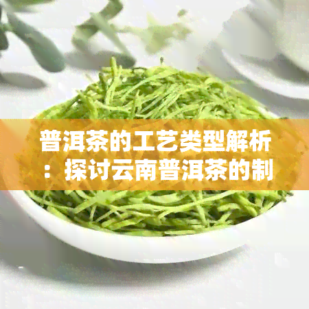 普洱茶的工艺类型解析：探讨云南普洱茶的制作技艺与不同工序