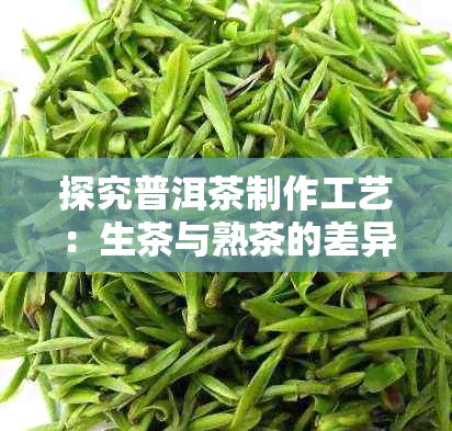 探究普洱茶制作工艺：生茶与熟茶的差异及其独特魅力