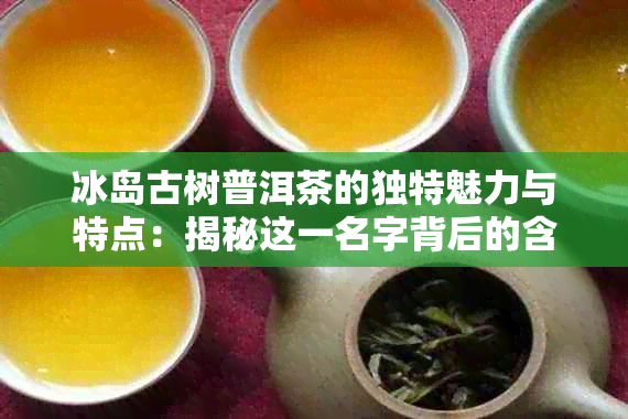 冰岛古树普洱茶的独特魅力与特点：揭秘这一名字背后的含义