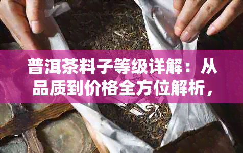 普洱茶料子等级详解：从品质到价格全方位解析，助您选购高性价比好茶