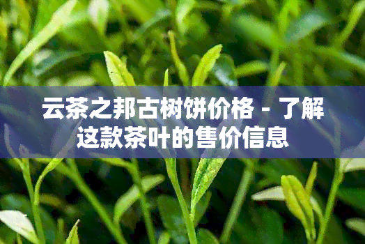 云茶之邦古树饼价格 - 了解这款茶叶的售价信息