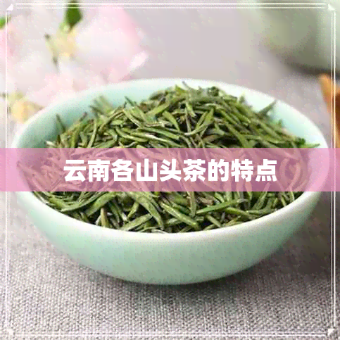 云南各山头茶的特点