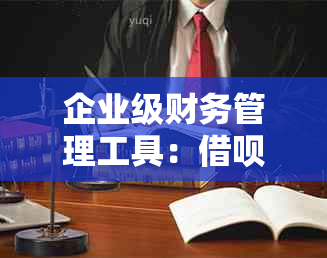 企业级财务管理工具：借呗对公账户的优势与安全性分析