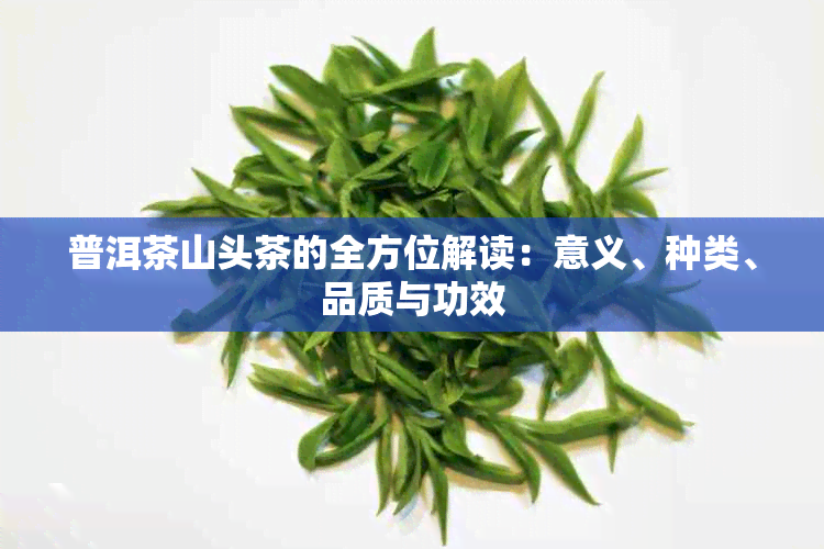 普洱茶山头茶的全方位解读：意义、种类、品质与功效