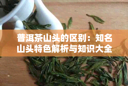 普洱茶山头的区别：知名山头特色解析与知识大全