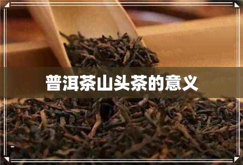 普洱茶山头茶的意义