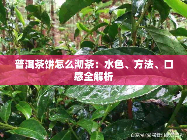 普洱茶饼怎么沏茶：水色、方法、口感全解析