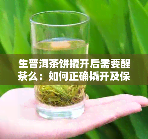 生普洱茶饼撬开后需要醒茶么：如何正确撬开及保存生普茶叶