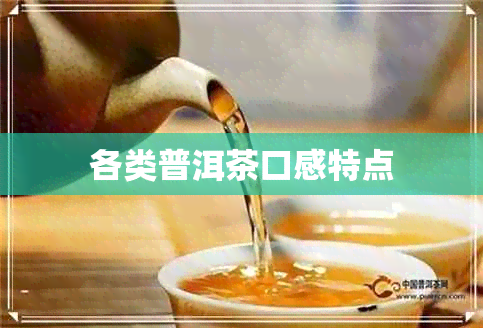 各类普洱茶口感特点