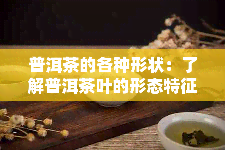 普洱茶的各种形状：了解普洱茶叶的形态特征