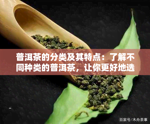 普洱茶的分类及其特点：了解不同种类的普洱茶，让你更好地选择和品鉴