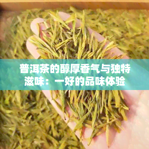 普洱茶的醇厚香气与独特滋味：一好的品味体验