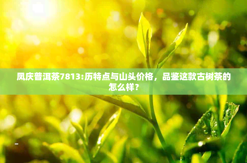 凤庆普洱茶7813:历特点与山头价格，品鉴这款古树茶的怎么样？