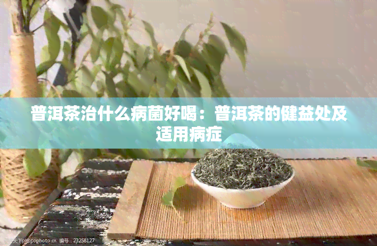 普洱茶治什么病菌好喝：普洱茶的健益处及适用病症