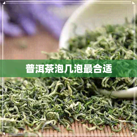 普洱茶泡几泡最合适