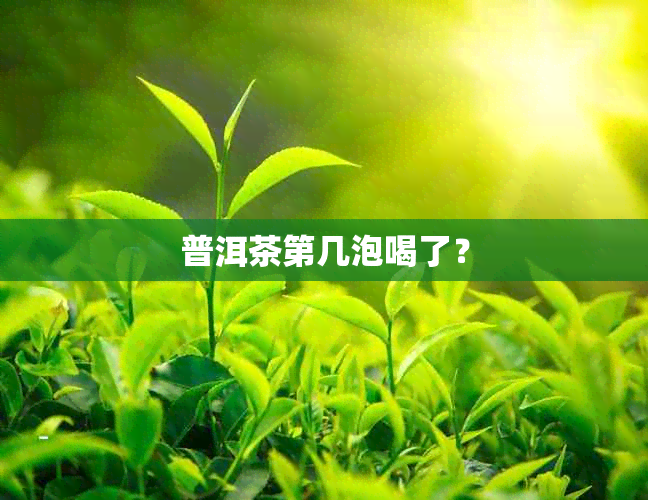 普洱茶第几泡喝了？