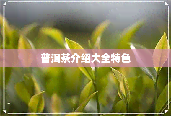 普洱茶介绍大全特色