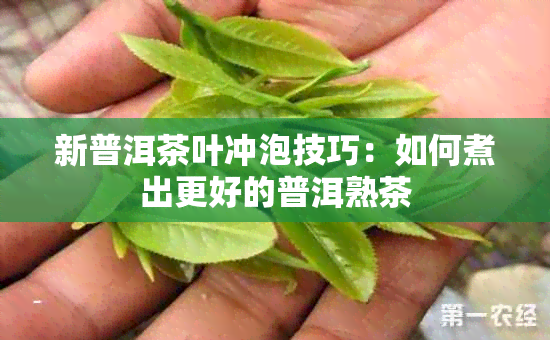 新普洱茶叶冲泡技巧：如何煮出更好的普洱熟茶