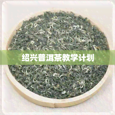 绍兴普洱茶教学计划