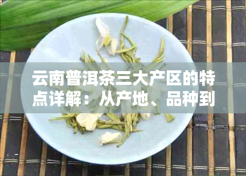 云南普洱茶三大产区的特点详解：从产地、品种到口味的全面剖析