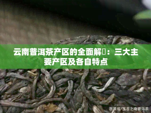 云南普洱茶产区的全面解冑：三大主要产区及各自特点