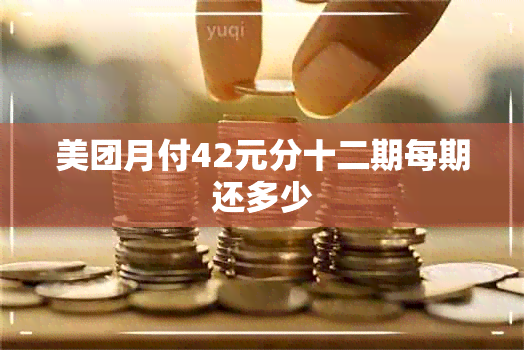 美团月付42元分十二期每期还多少