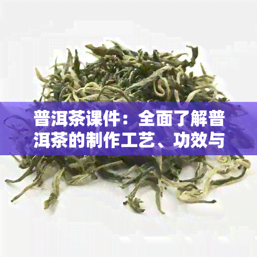 普洱茶课件：全面了解普洱茶的制作工艺、功效与泡法