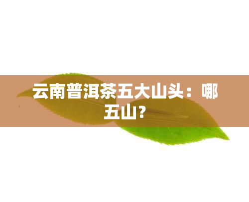 云南普洱茶五大山头：哪五山？