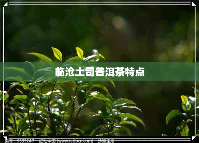 临沧土司普洱茶特点