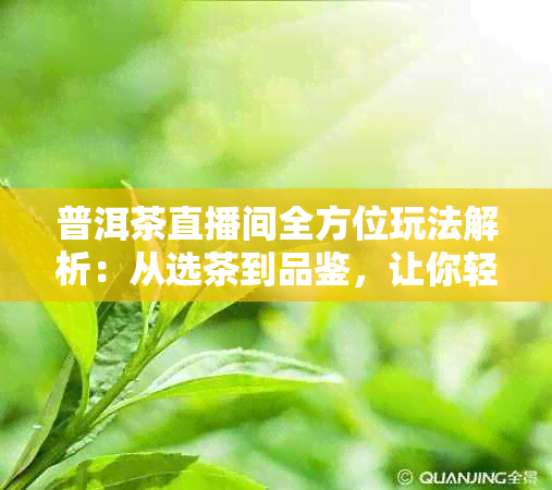 普洱茶直播间全方位玩法解析：从选茶到品鉴，让你轻松掌握直播技巧与体验