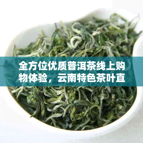 全方位优质普洱茶线上购物体验，云南特色茶叶直供商城