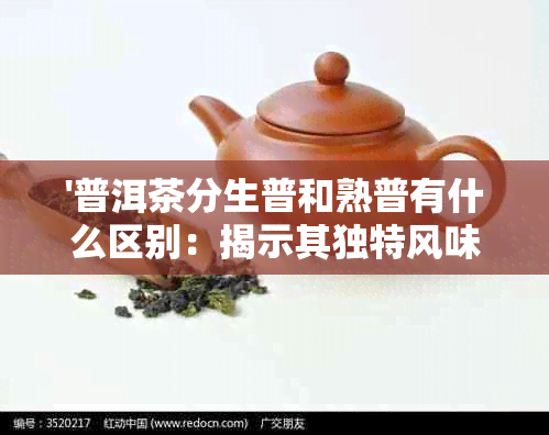 '普洱茶分生普和熟普有什么区别：揭示其独特风味及冲泡技巧'