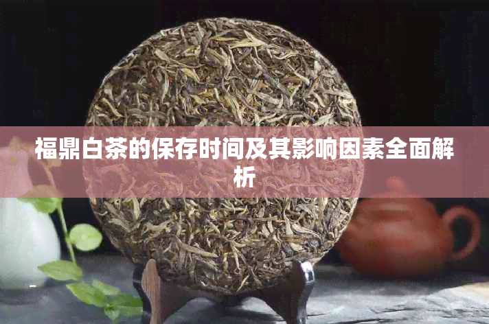 福鼎白茶的保存时间及其影响因素全面解析