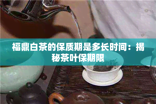 福鼎白茶的保质期是多长时间：揭秘茶叶保期限